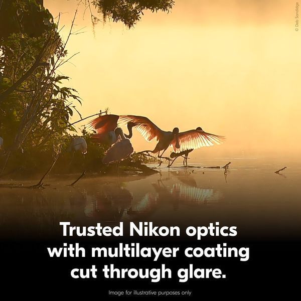 Бінокль Nikon Action 7x50 Бинокль Nikon Action 7x50 фото