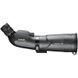 Підзорна труба Bushnell Trophy Extreme 20-60x65 011124-17 фото 2